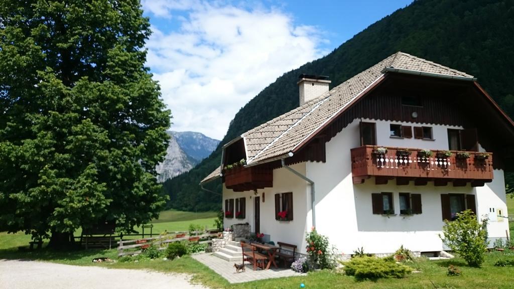 Farm Stay Juvanija Solčava Exterior foto