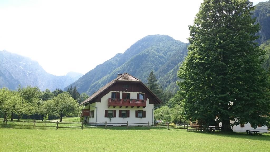 Farm Stay Juvanija Solčava Exterior foto