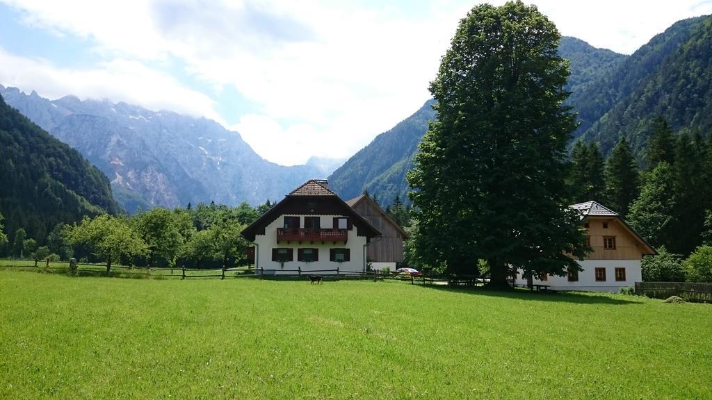 Farm Stay Juvanija Solčava Exterior foto