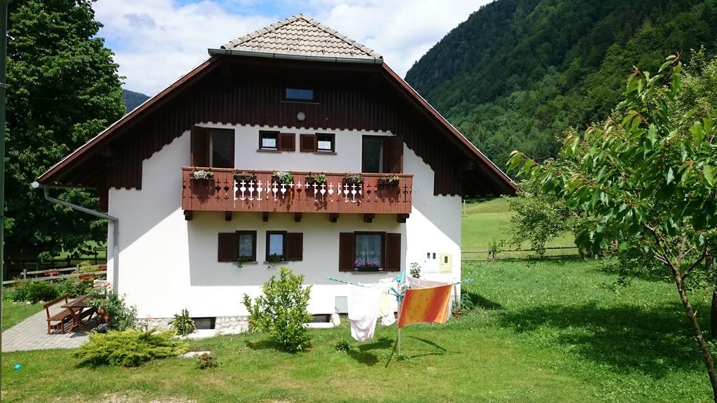 Farm Stay Juvanija Solčava Exterior foto